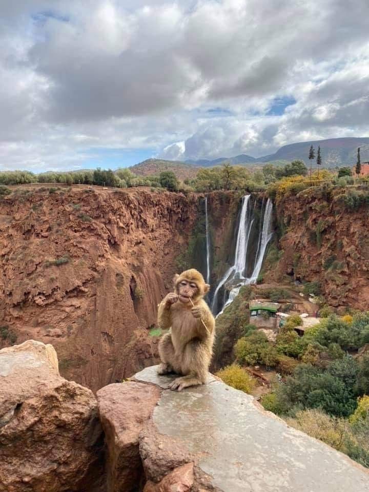 Private Ouzoud Waterfalls Experience , Boat Ride and Berber Lunch