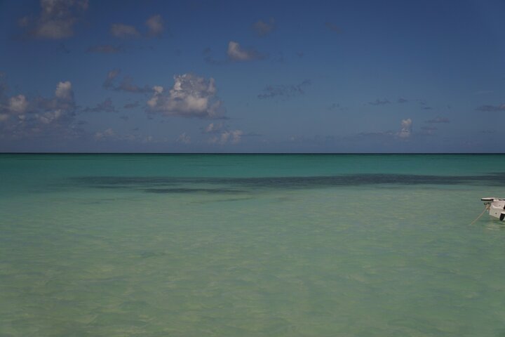 Private Saona Island Tour from Punta Cana