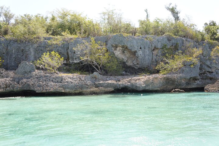 Explore the beautiful fauna of Saona Island