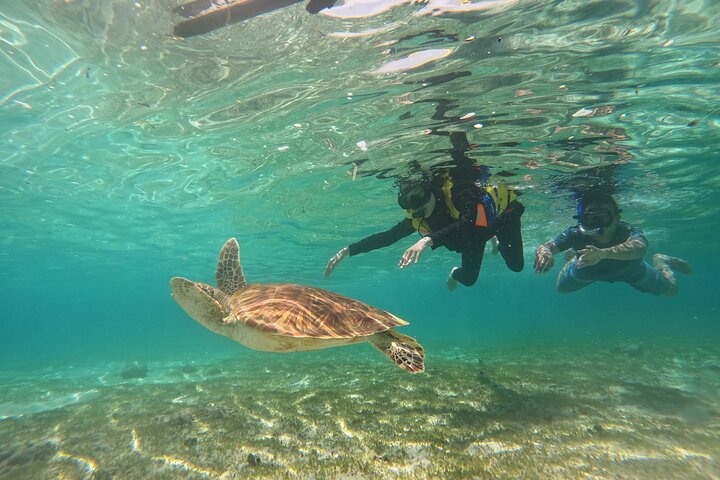 Private Trip Nusa Penida & Gili Trawangn 3D2N (Snorkeling)