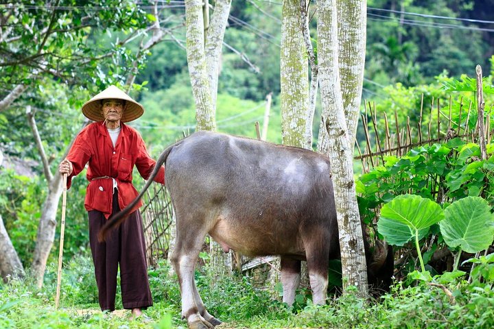 Pu Luong 2 Days 1 Night Tour with Small Group from Hanoi