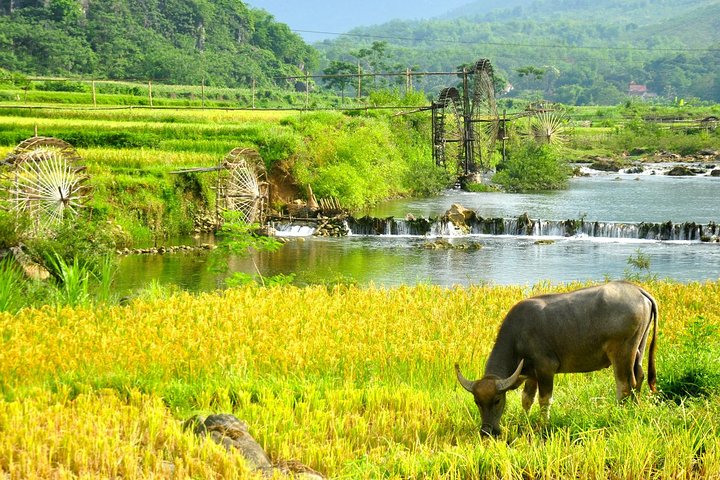Pu Luong Retreat - 2 Days 1 Night Group Tour From Hanoi