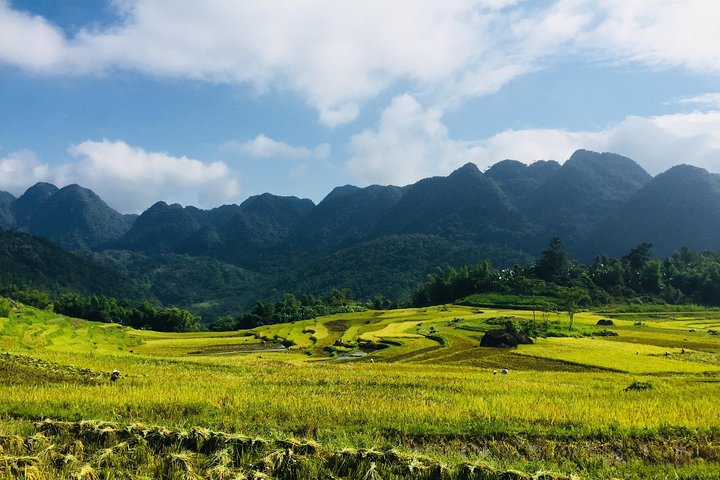 Amazing Pu Luong Nature Reserve 2 Days Tour from Hanoi - All included