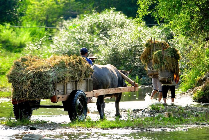 Amazing Pu Luong Nature Reserve 2 Days Tour from Hanoi - All included