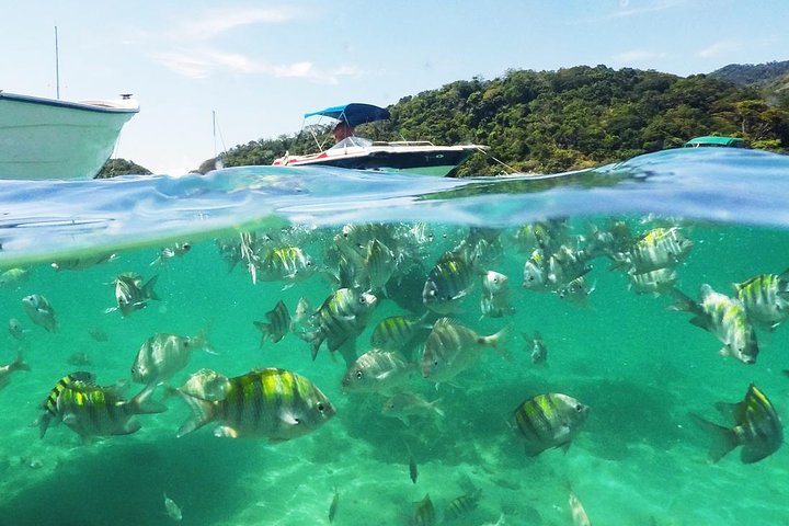 Regular Schooner Ride - Ilha Grande Tour