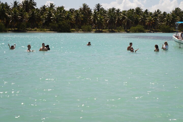 Saona Island Experience with Private Round Trip Transportation