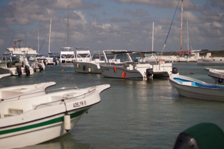 Saona Island Experience with Private Round Trip Transportation