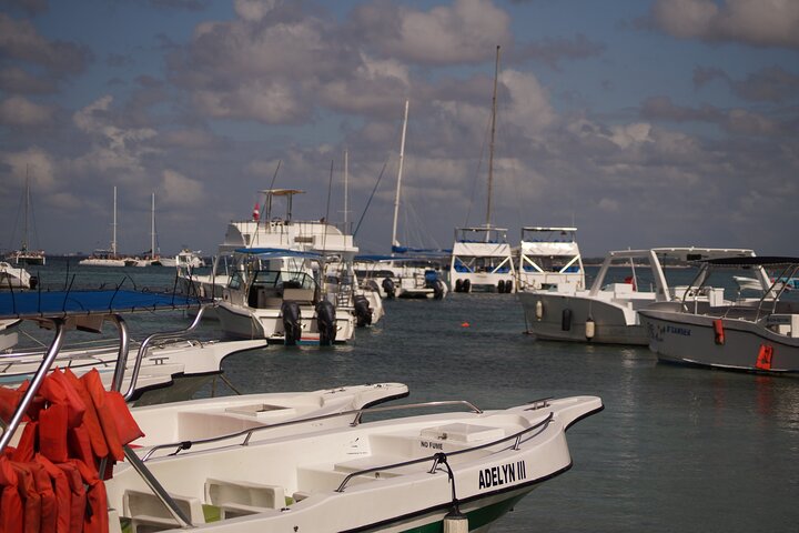 Saona Island Experience with Private Round Trip Transportation
