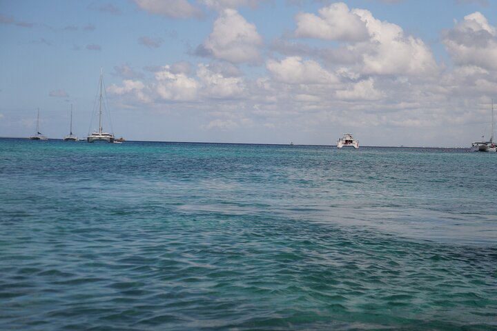 Saona Island Experience with Private Round Trip Transportation