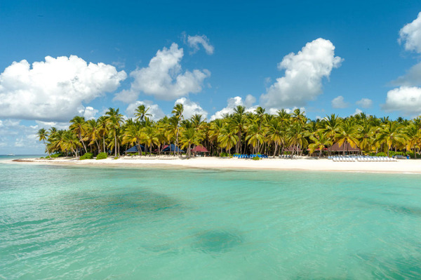 Saona Island Tour