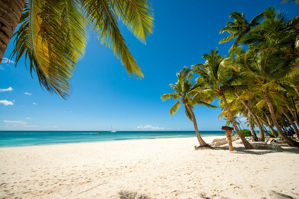 Saona Island Tour