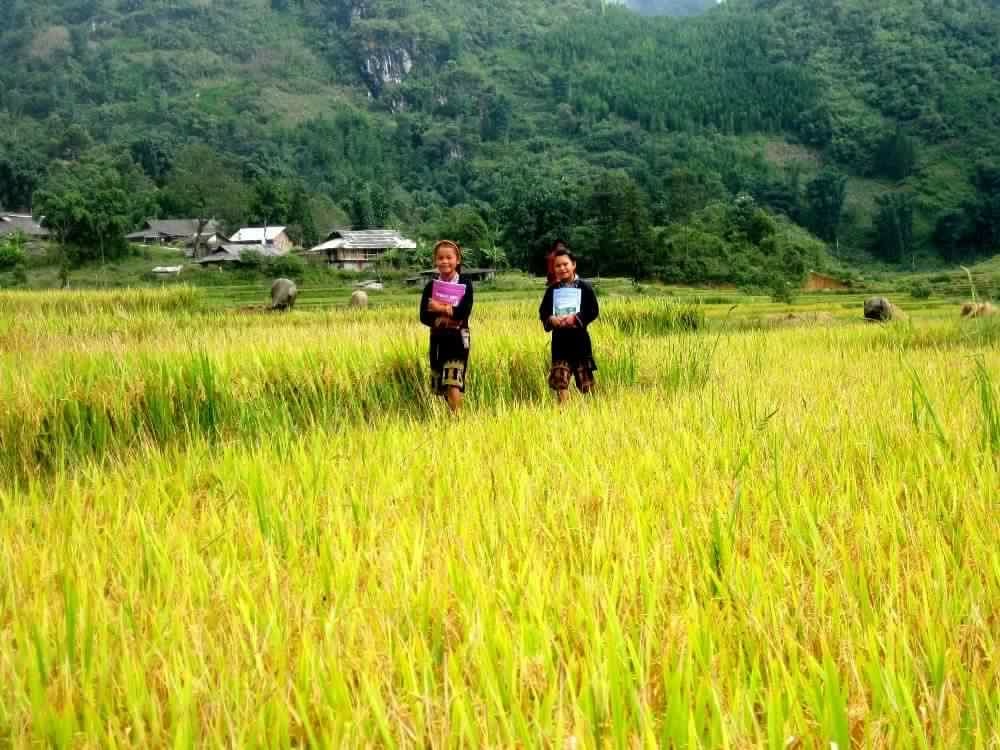 Sapa_Halong_Bay_4_days_3_nights