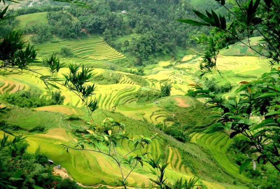 Sapa_Halong_Bay_4_days_3_nights