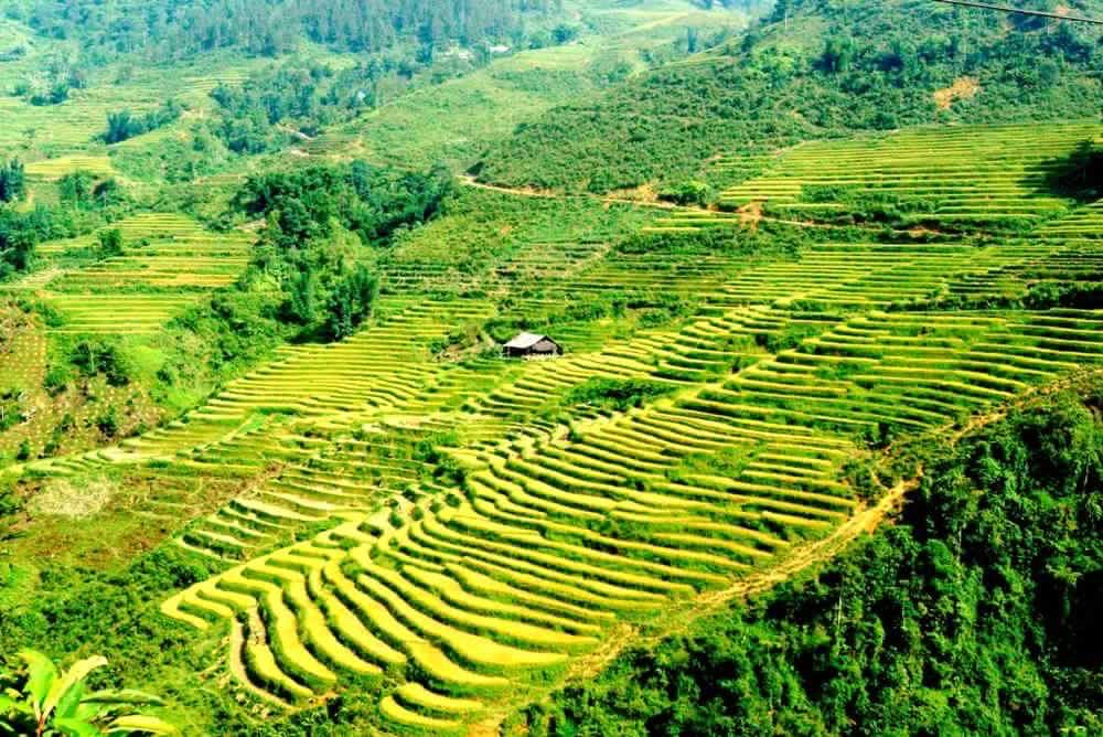 Sapa_Halong_Bay_4_days_3_nights