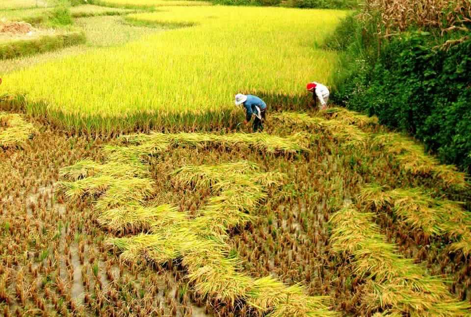 Sapa_Halong_Bay_4_days_3_nights