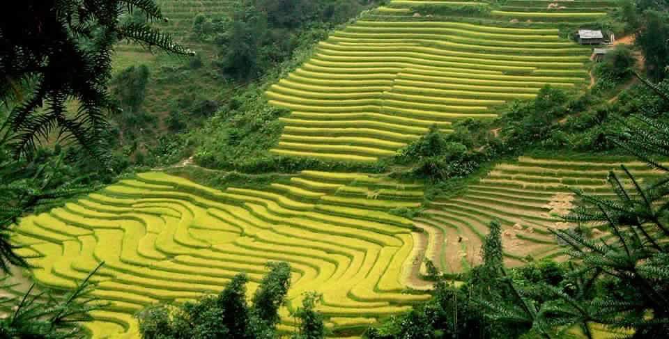 Sapa_Halong_Bay_4_days_3_nights
