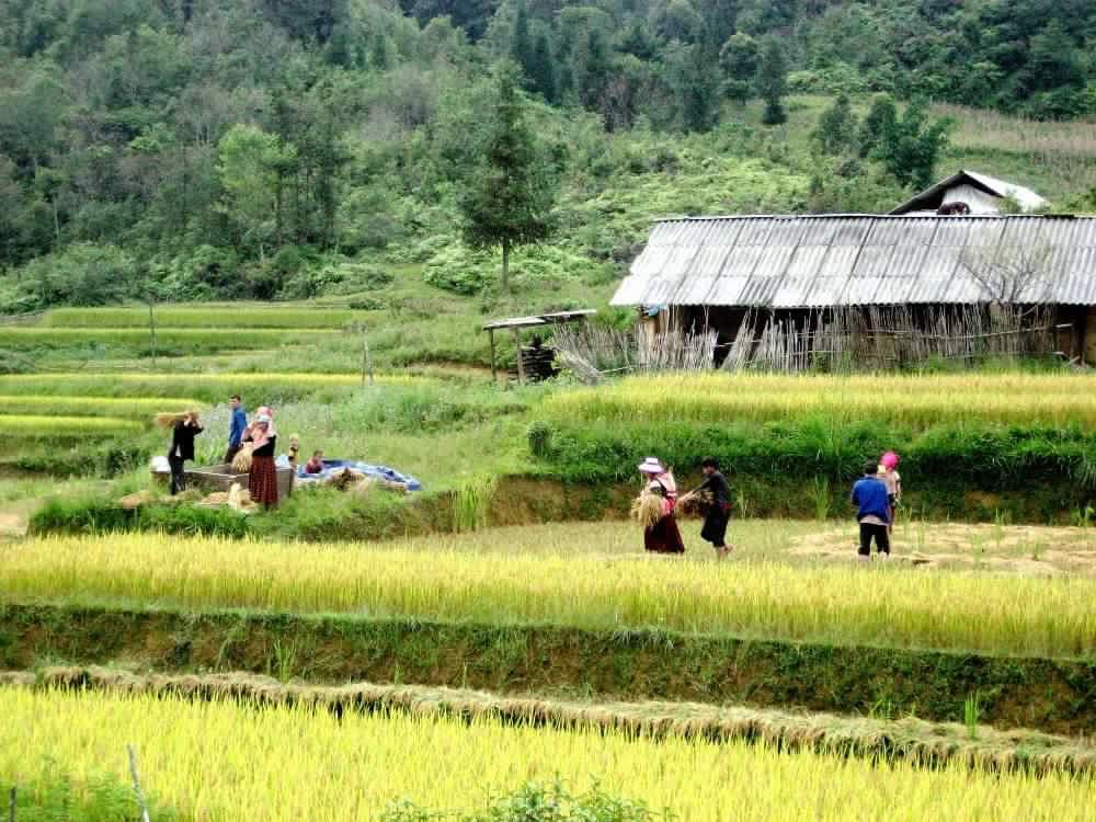 Sapa_Halong_Bay_4_days_3_nights