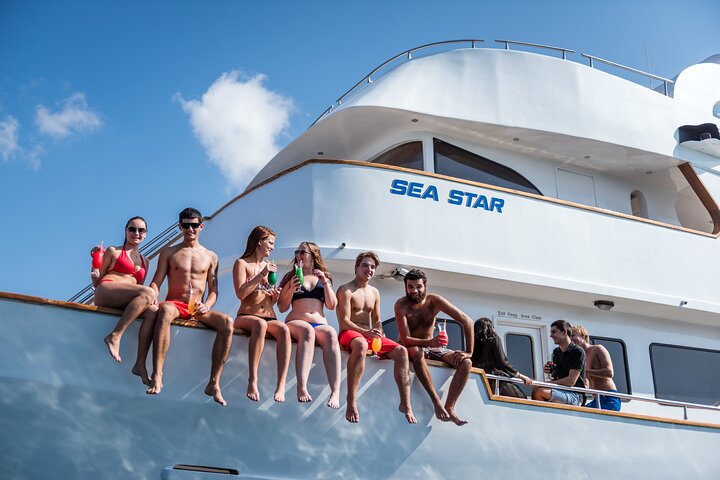 Sea Star - Coral Express