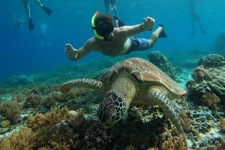 Sharing Snorkeling Trip Gili islands Depart Gili Trawangan
