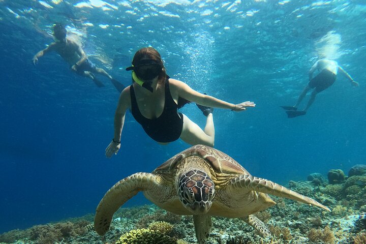Sharing Snorkeling Trip Gili islands Depart Gili Trawangan