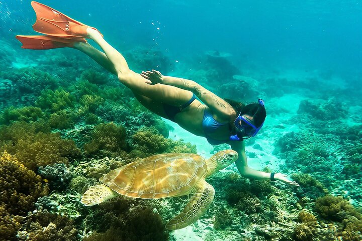Sharing Snorkeling Trip Gili islands Depart Gili Trawangan