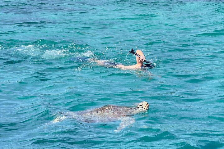 Sharing Snorkeling Trip Gili islands Depart Gili Trawangan