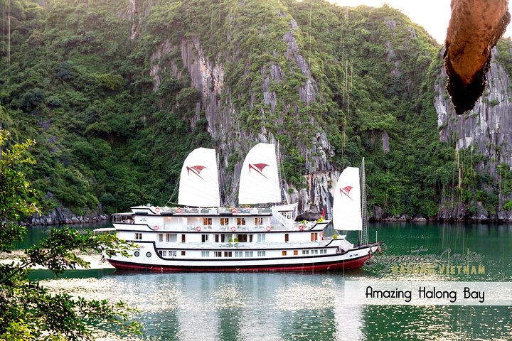 Signature Cruises Explore Bai Tu Long Bay,Less Tourist Area