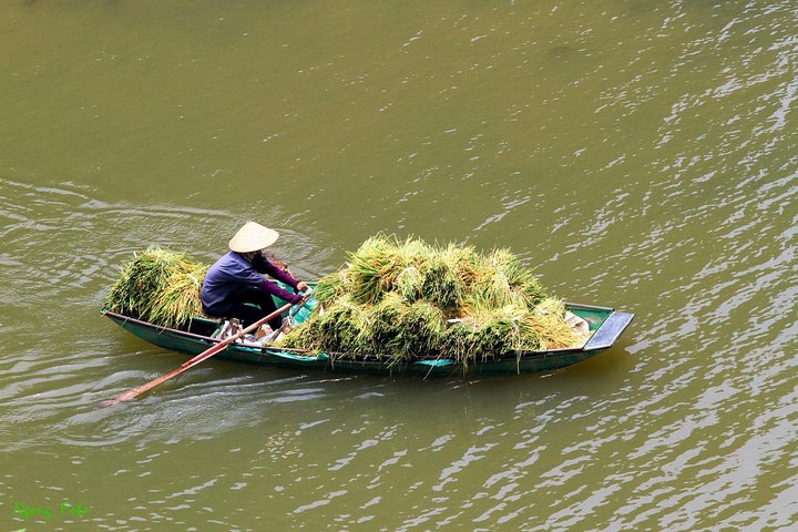 Ninh Binh Small Group Tour 1 Day From Hanoi : Hoa Lu Tam Coc Mua Cave
