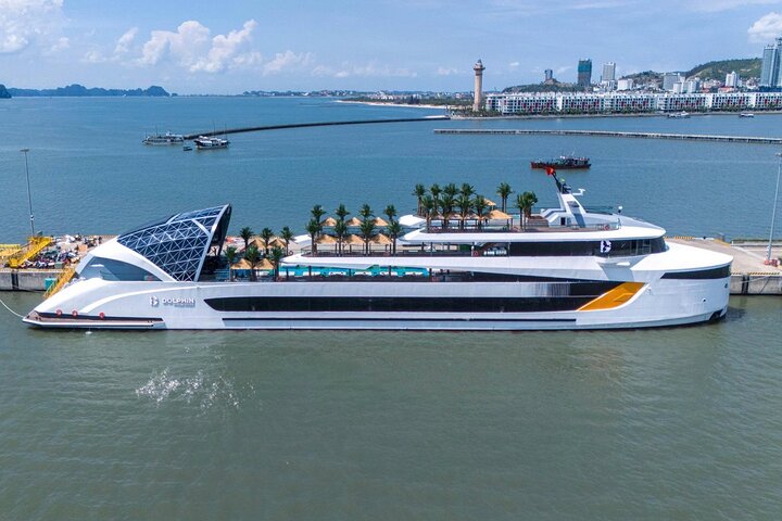 Dolphin Top 5-Star Halong Bay Day Cruise – Relax, Swim & Scenic Tour