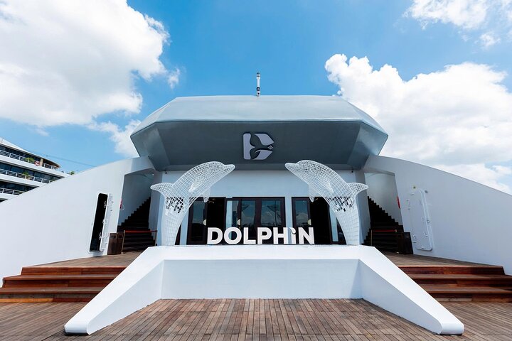 Dolphin Top 5-Star Halong Bay Day Cruise – Relax, Swim & Scenic Tour