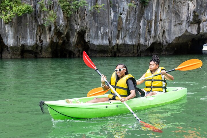 Dolphin Top 5-Star Halong Bay Day Cruise – Relax, Swim & Scenic Tour