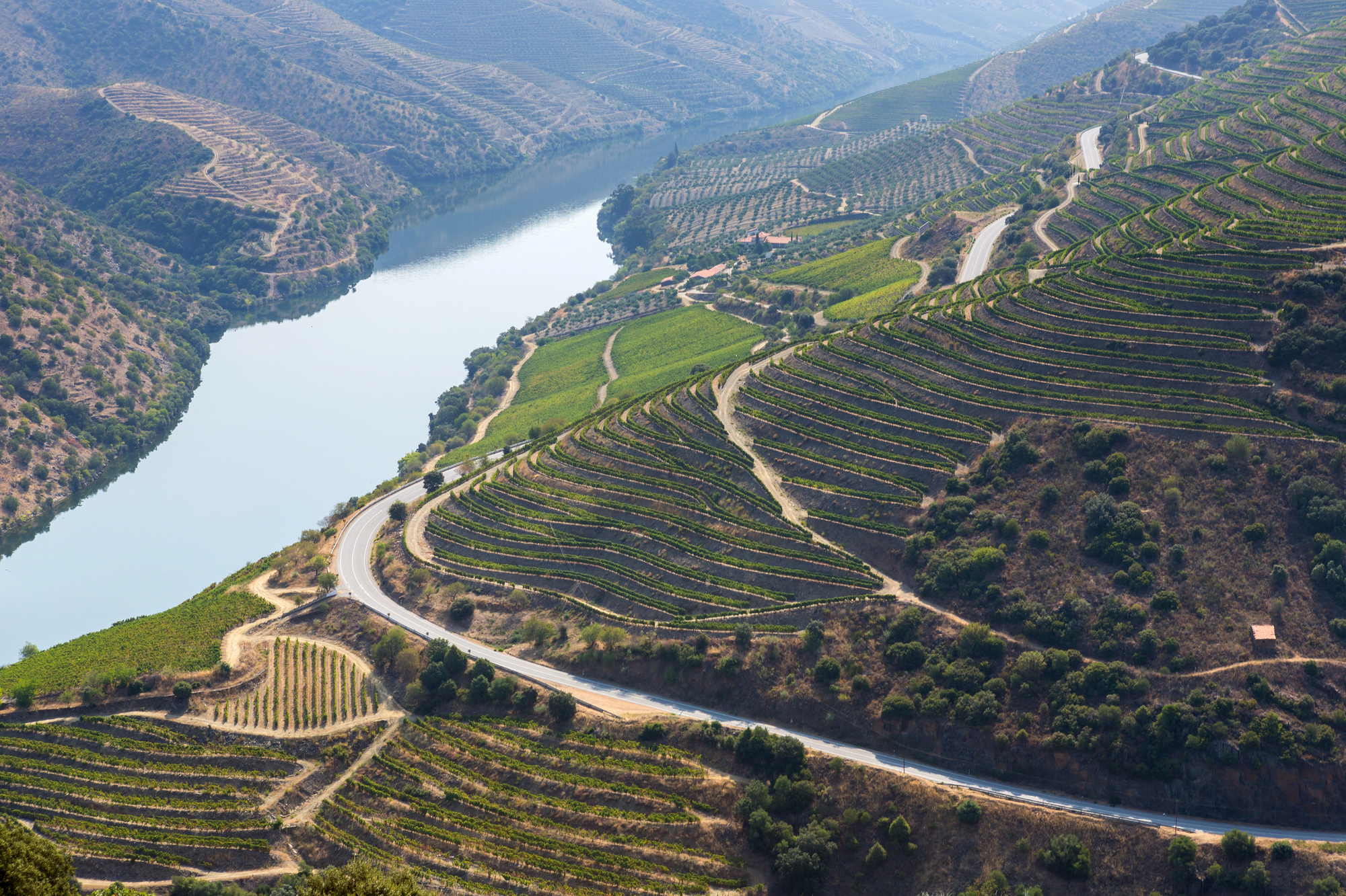 Traditional Dour Valley Tour: Winery, Cruise, Lunch and Viewpoint. - From Porto.