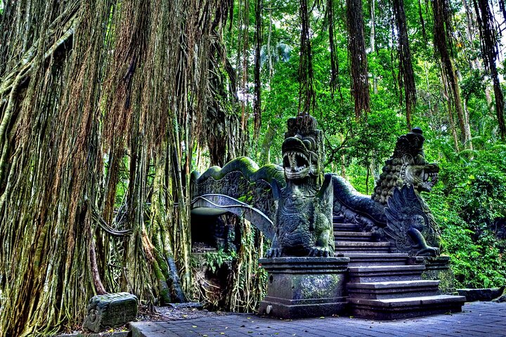 Ubud Highlights Day Tour with Bali ATV and Rafting
