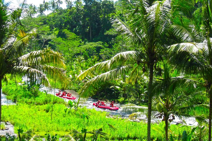 Ubud Highlights Day Tour with Bali ATV and Rafting