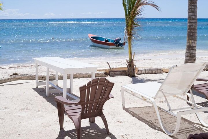Ultimate Saona Island Tour From Punta Cana