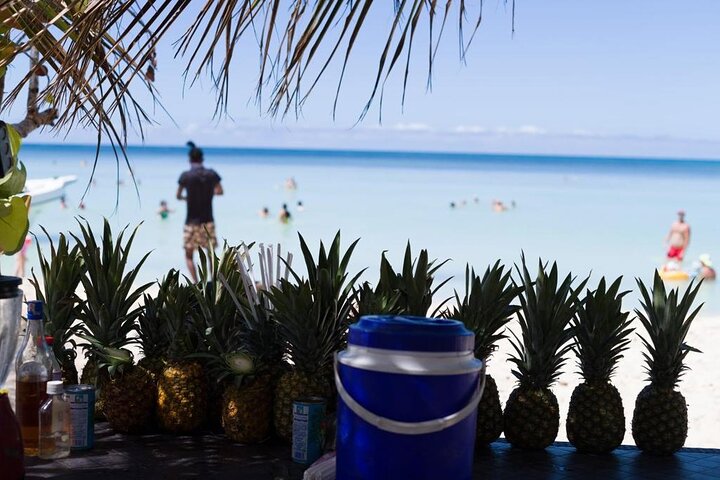 Ultimate Saona Island Tour From Punta Cana