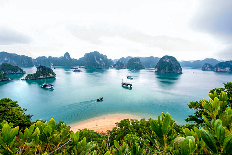 Vietnam Essence Journey 8 Days | Private Vietnam Tour from Hanoi to Saigon