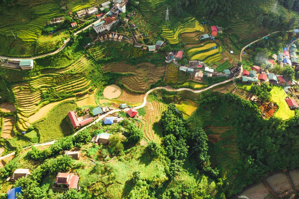 Vietnam Tour