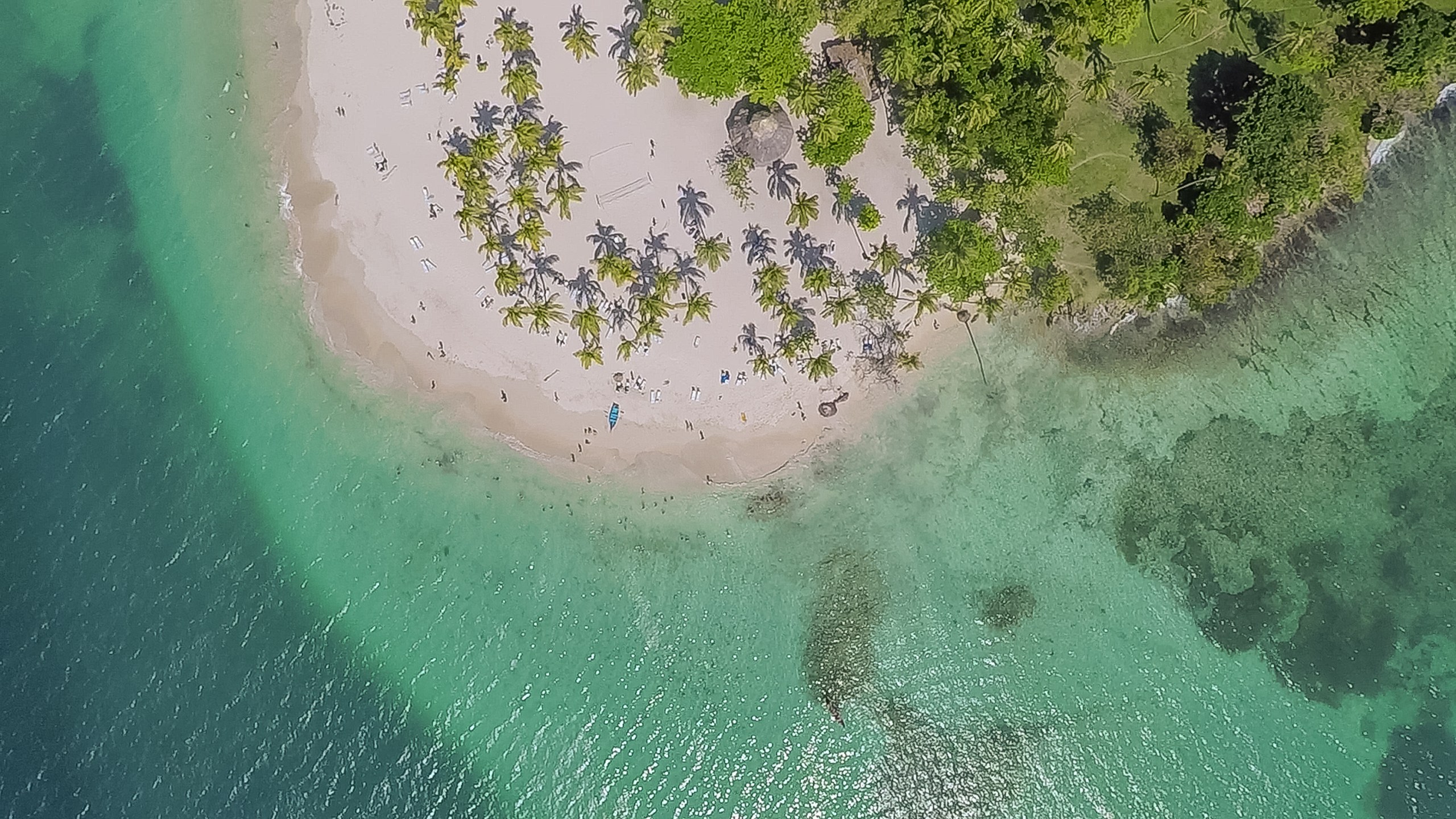 Whale Watching and visit to Cayo Levantado